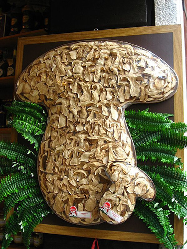 Farfalle ai funghi e patate di Veronica A. - Recipefy