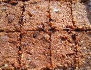Delicious Quinoa Breakfast Bars de Kelsey Zahn - Recipefy
