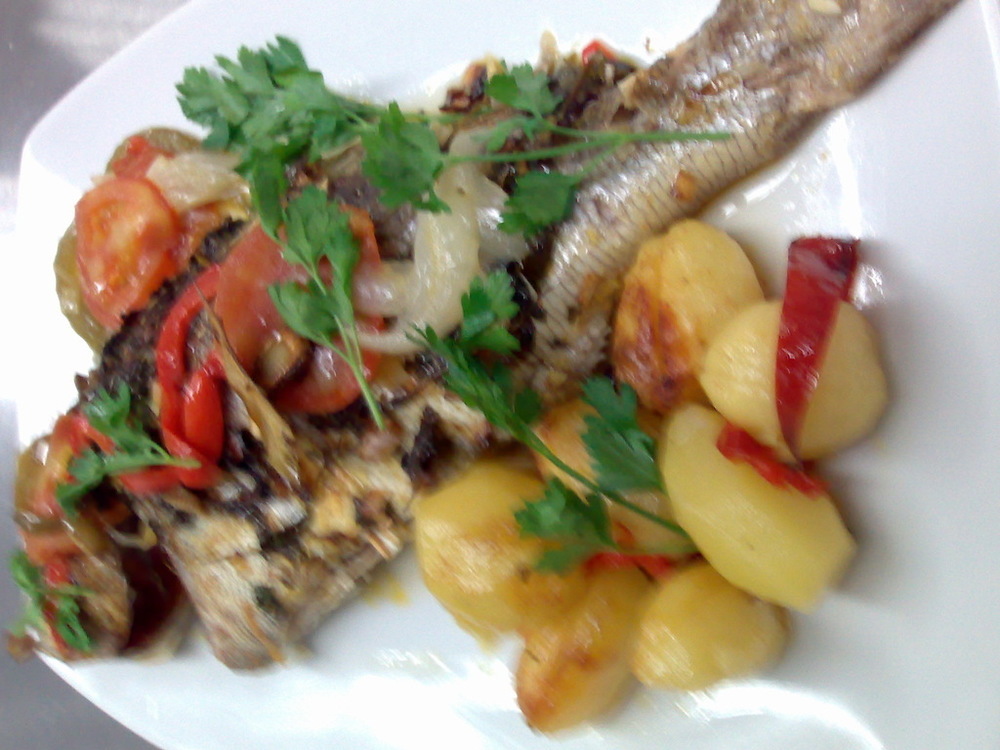 PARDO MOLATO ASSADO of Paulo Ferraz - Recipefy