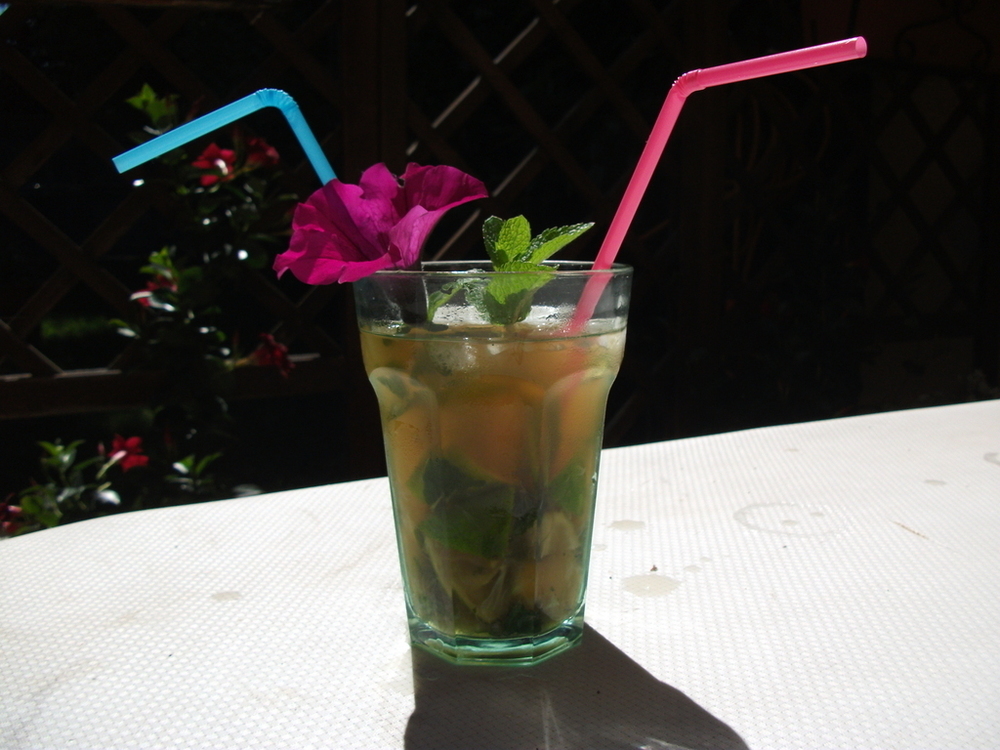 Mojito of Gippy - Recipefy