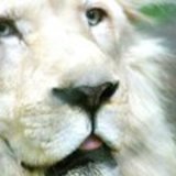 Https-fbcdn-profile-a-akamaihd-net-hprofile-ak-snc4-273316_662620831_2488771_n-jpg