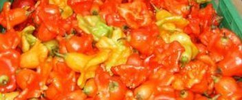 PEPERONI ALLA MESSICANA de Alfy - Recipefy