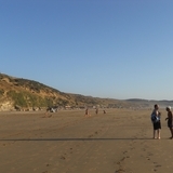 Paradise-homies-jpg_7607978