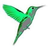 Https-fbcdn-profile-a-akamaihd-net-hprofile-ak-snc4-41618_100000629168339_3991_n-jpg