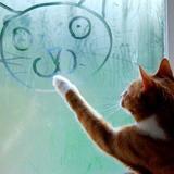 Happycat-jpg