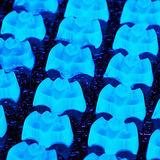 Dsc_8654-mwp3-copy-jpg