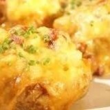 Stuffed_jackets-jpg-scaled500-jpg