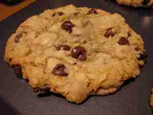 mini cookies by scott foster de Scott Foster - Recipefy