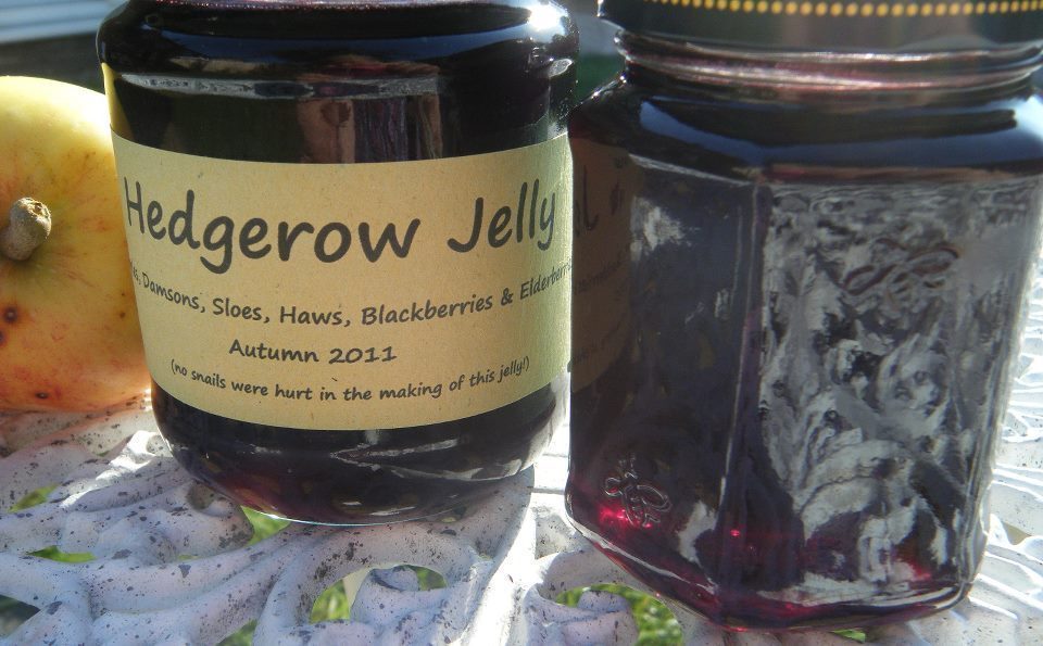 Hedgerow Jelly di Sarah James - Recipefy
