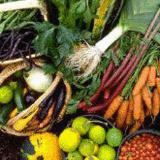 Veg-1-gif