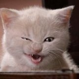 Eye-blink-ming-jpg