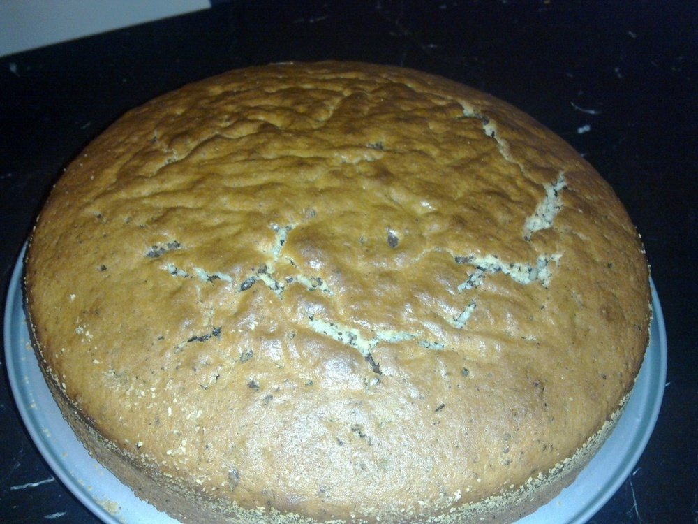 Torta con yogurt e cioccolato de sricciolo - Recipefy