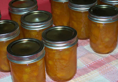 Potato Milk Jam di Zosia wielogorska - Recipefy