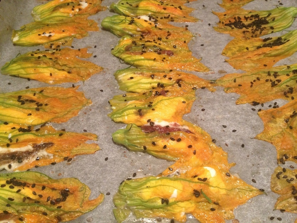 Fiori di Zucca con Philadelphia e Acciughe di Vittorio Pavesi - Recipefy