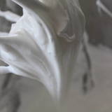 6986936858_img_3124-jpg%7d_6604015