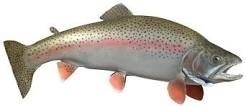 Rainbow Trout with Apple Pearls, Lemongrass Gremolata Crumbs, and Mosel Riesling Butter Sauce of Neil S Howe - Recipefy