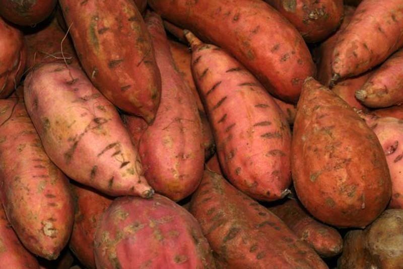 Harvest Time Sweet Potatoes of Ashley - Recipefy