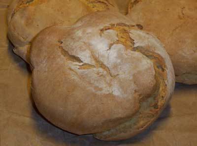 PAN CATETO of Julio Reyes Diaz - Recipefy