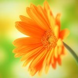Eaece5d805-jpg