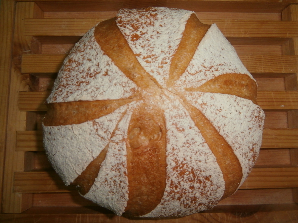 PAN ALCACHOFA de Cati Ballesta - Recipefy