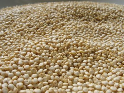 Cuisson de base du quinoa of wise - Recipefy
