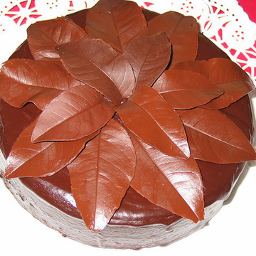 HOJAS DE CHOCOLATE of Irene Solórzano Gallardo - Recipefy
