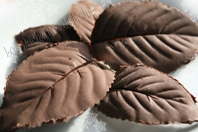 HOJAS DE CHOCOLATE of Miguel Angel Maldonado Gonzalez - Recipefy