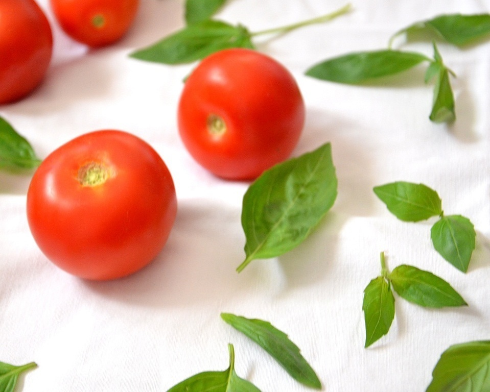 salsa di pomodoro di Silvia Piombo - Recipefy