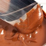 15140189-praline-crema-rodeado-de-nueces-y-chocolate-jpg