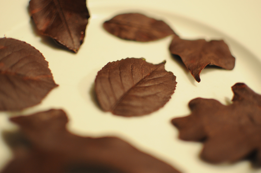 HOJAS DE CHOCOLATE  of Dexter Jay Stevens - Recipefy