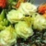 Https-graph-facebook-com-100001630928416-picture