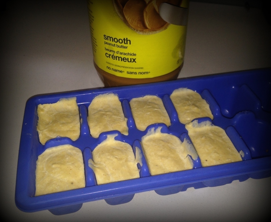 Frozen Yogurt Dog Treats of Huntley's Mom - Recipefy