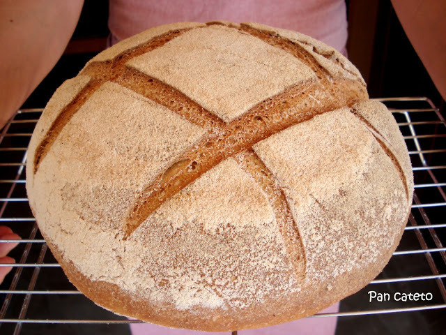 Pan cateto. "para 500 gramos de pan". de Jesus Molina - Recipefy
