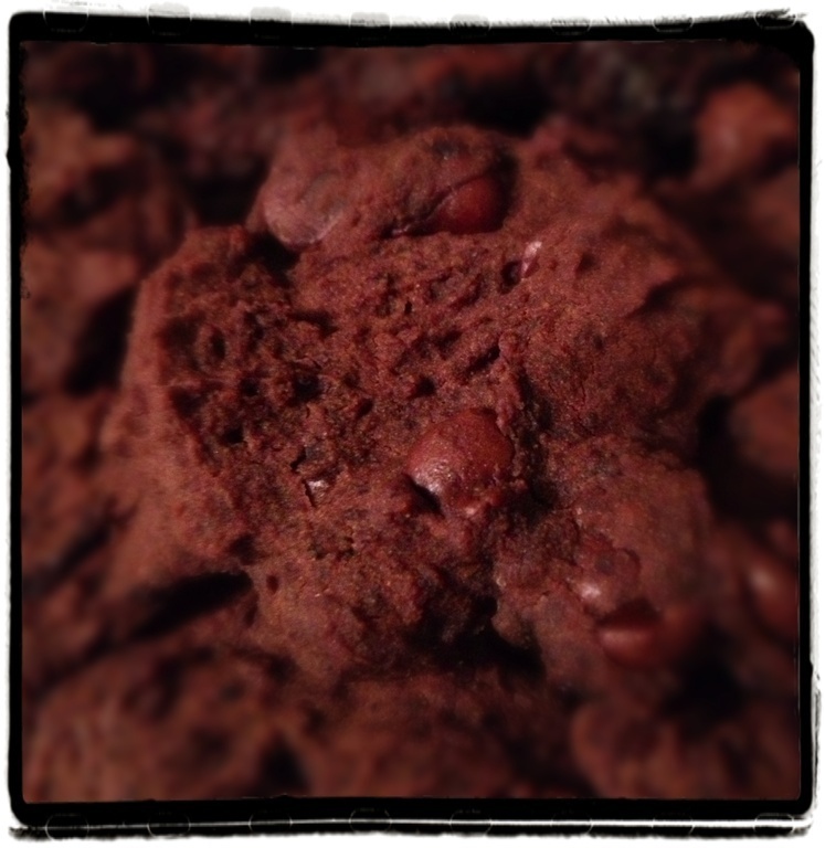 Vegan black bean double chocolate cookies di Kathleen Sandusky - Recipefy