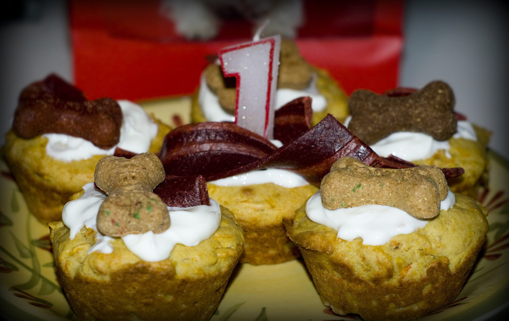 Dog Birthday Cupcake Recipe di Huntley's Mom - Recipefy