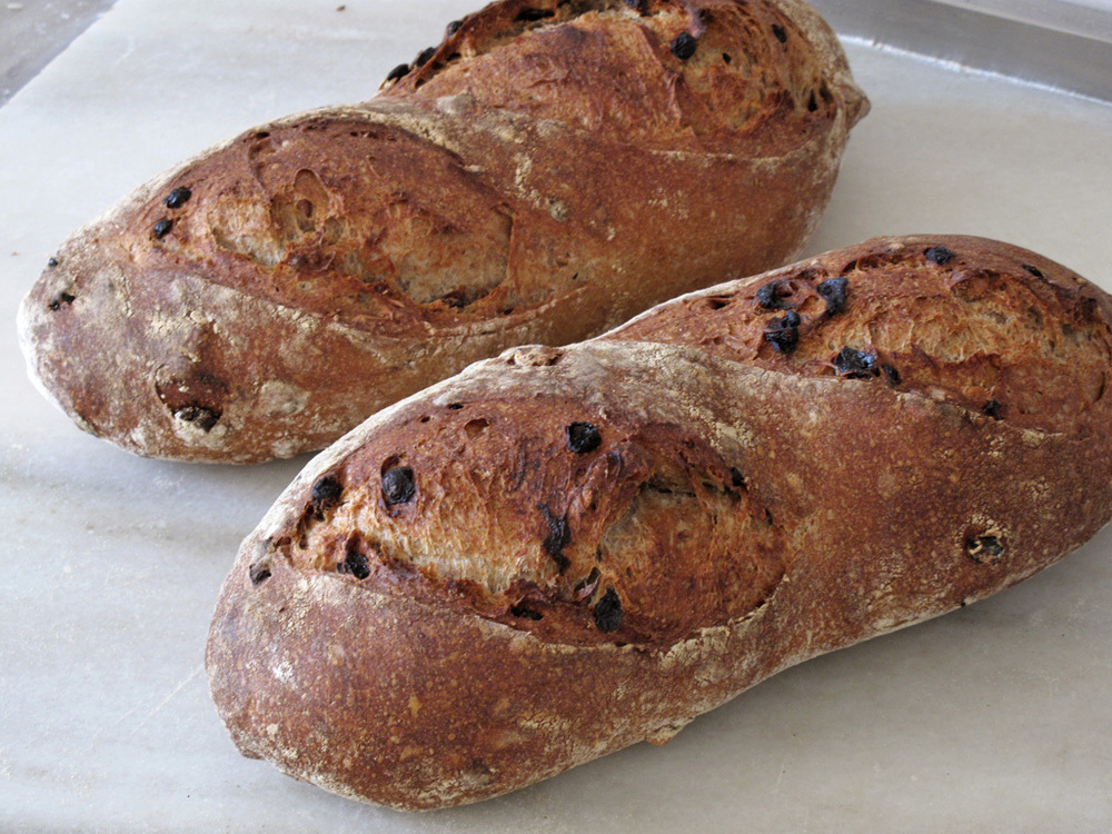 pan de trigo, centeno, pasas y nueces di Isabel Lorite Valiente - Recipefy