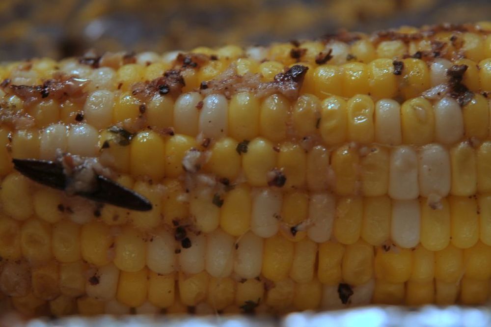 Roasted Sweet Corn (Oven) di Jenn Carter - Recipefy