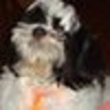 Https-graph-facebook-com-100002534123480-picture