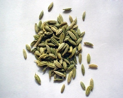 tisana dimagrante e drenante al finocchio, tè verde, fucus e bardana of Giorgia - Recipefy