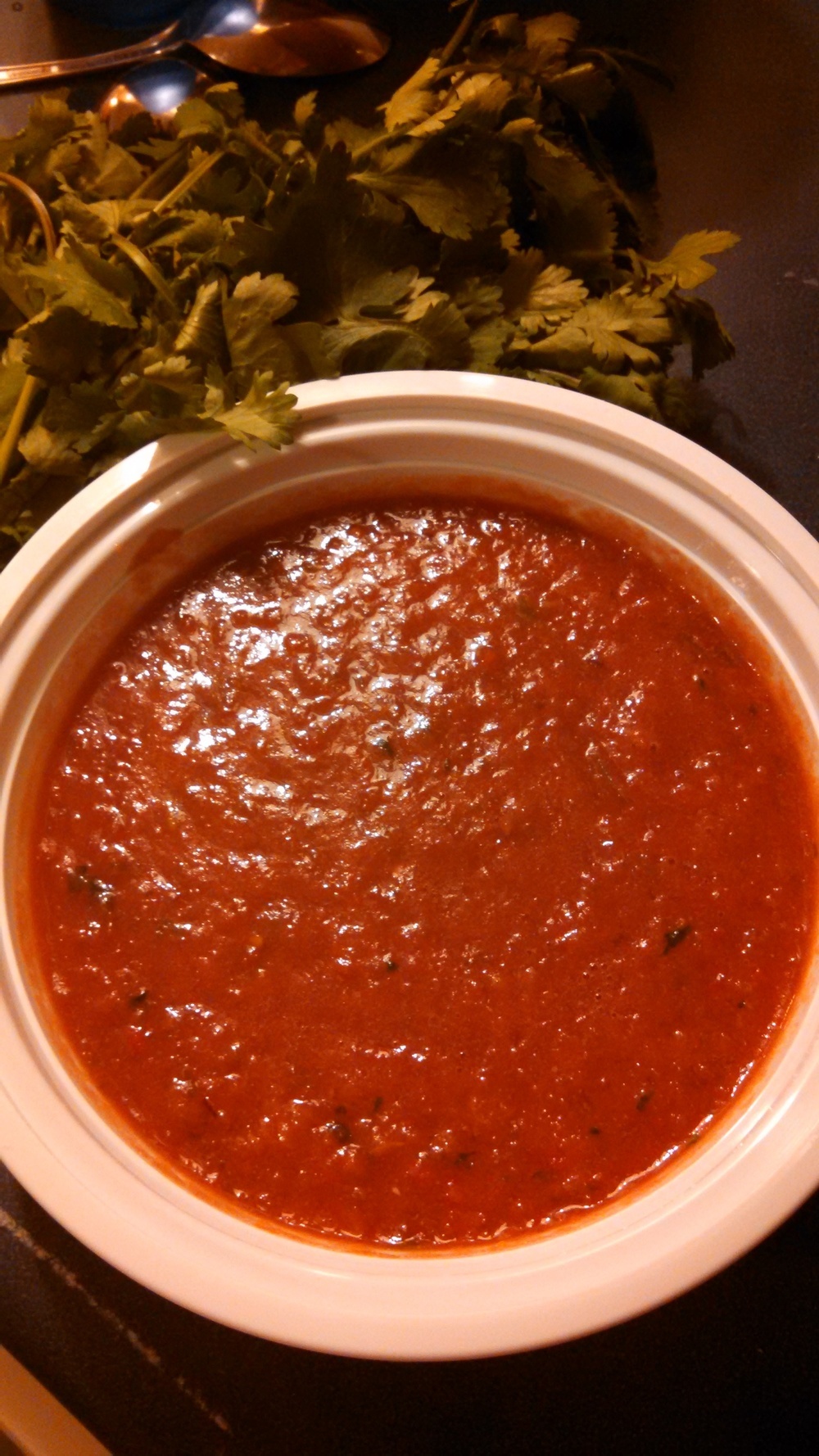 Salsa of Jenna Rodrigues - Recipefy