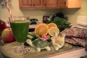 Beginner Green of Angela O - Recipefy