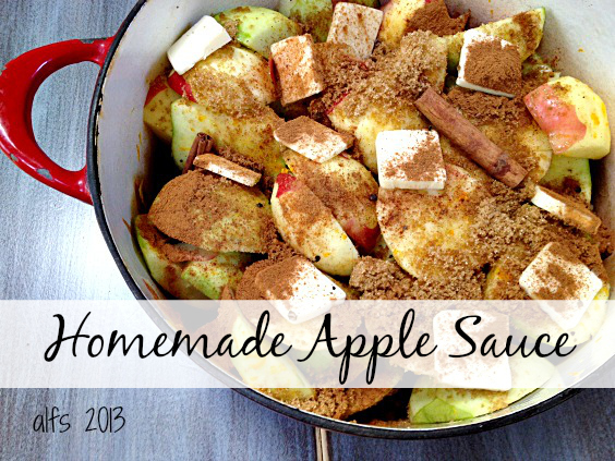 Homemade Apple Sauce de Courtney Glantz - Recipefy