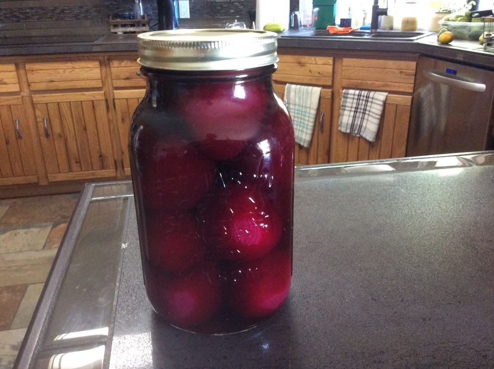 Grandma's Beet Pickles di Michele Poole - Recipefy