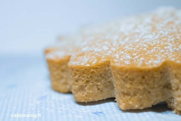 Torta all’acqua: ricetta veloce, facile, vegan e light de Valentina - Recipefy