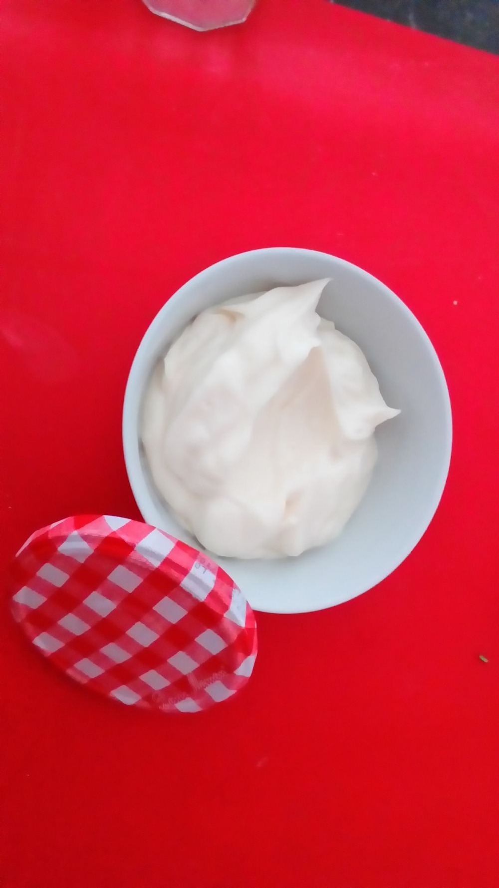MAIONESE VELOCISSIMA de Marina Marini - Recipefy