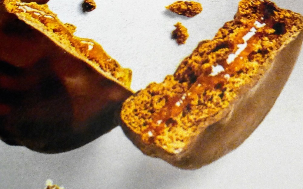 mini Sacher di biscotti di Marina Marini - Recipefy