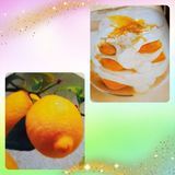 Photocollage_2020726143929503