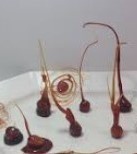 Almendras caramelizadas of Grupo 3 pastelería 2DC - Recipefy