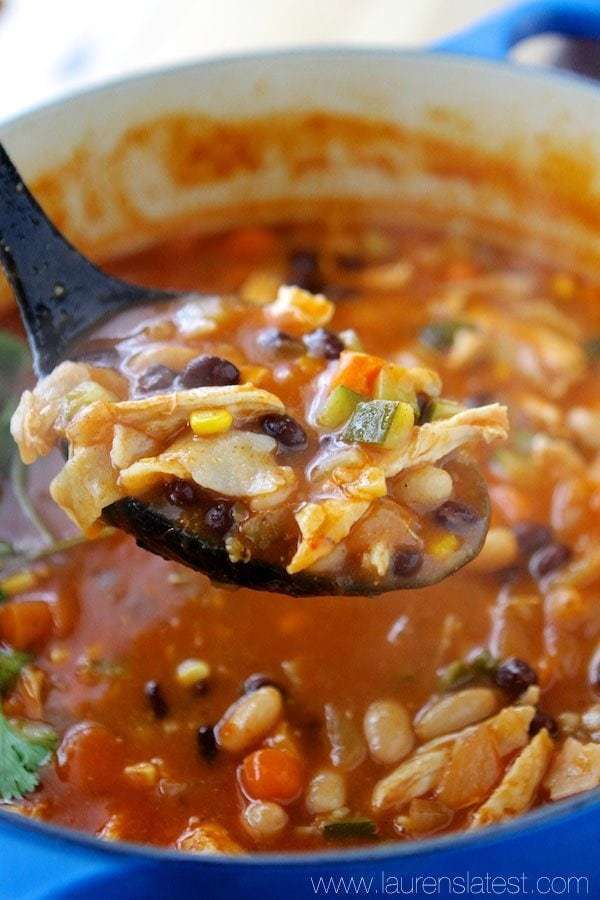 Mexican Chicken Tortilla Soup (Slow Cooker) de Bobby Keillor - Recipefy